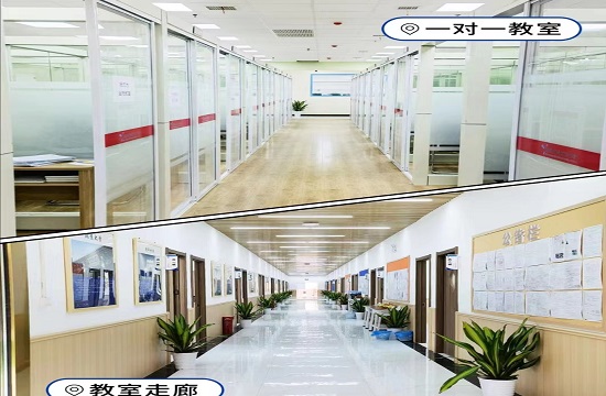 艺考生文化课