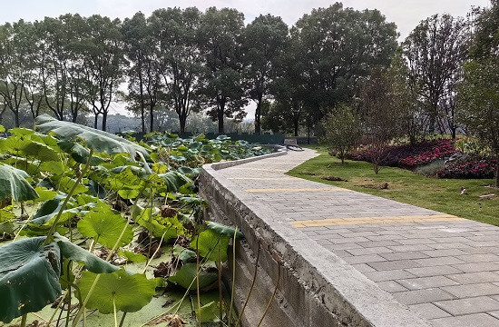 武汉高三文化课集训