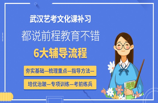 武汉艺考文化课辅导