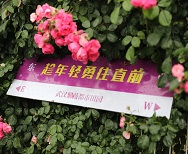 前程教育新闻动态